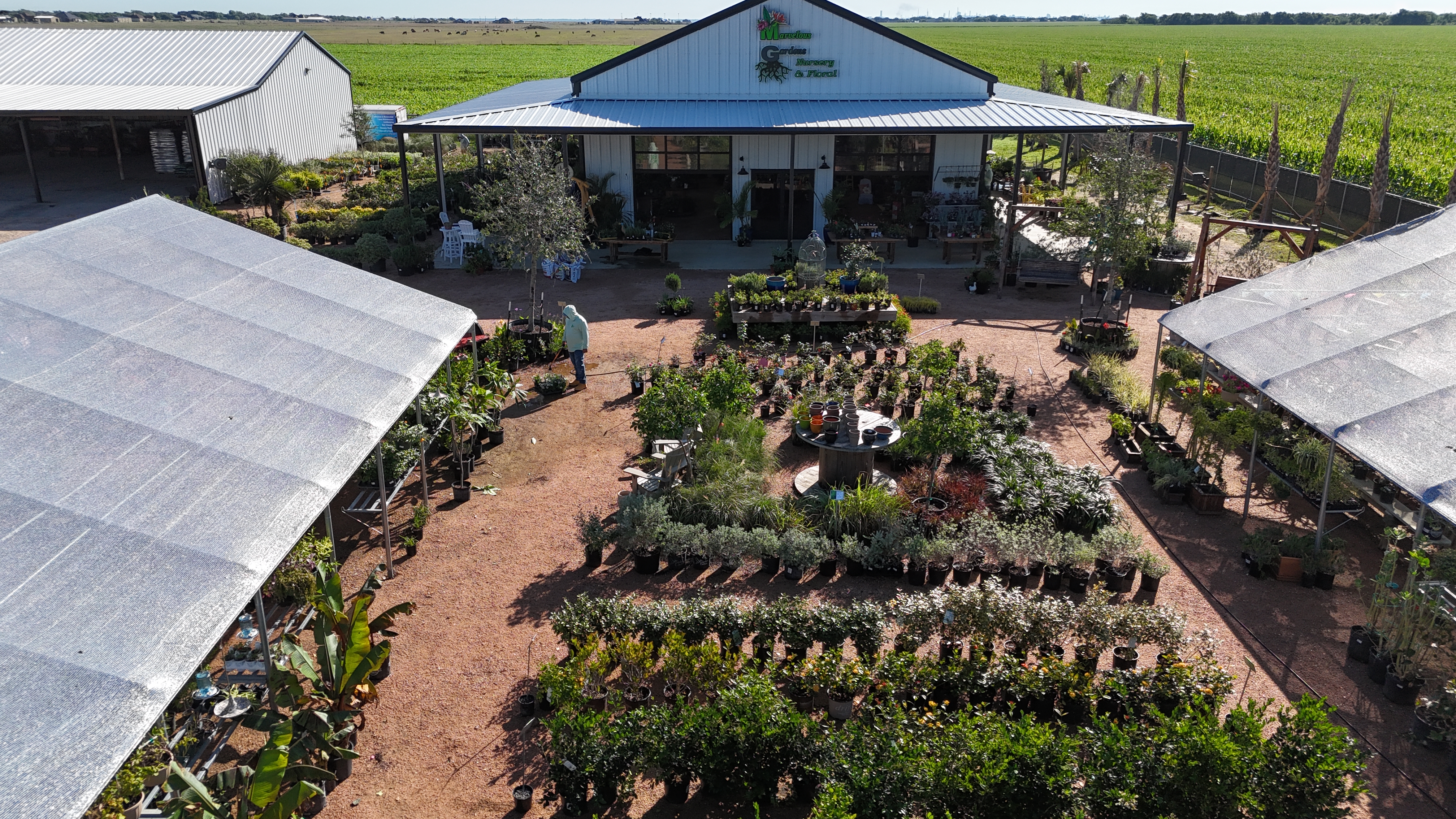 Floral, Plant and Garden