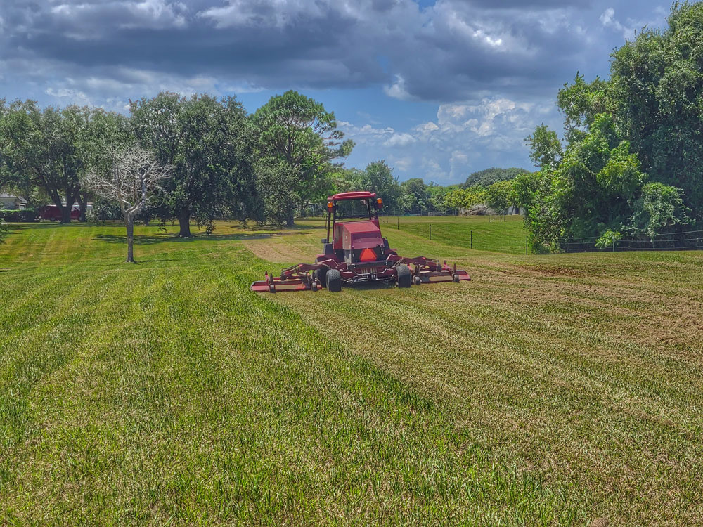 Lawn Care & Landscaping