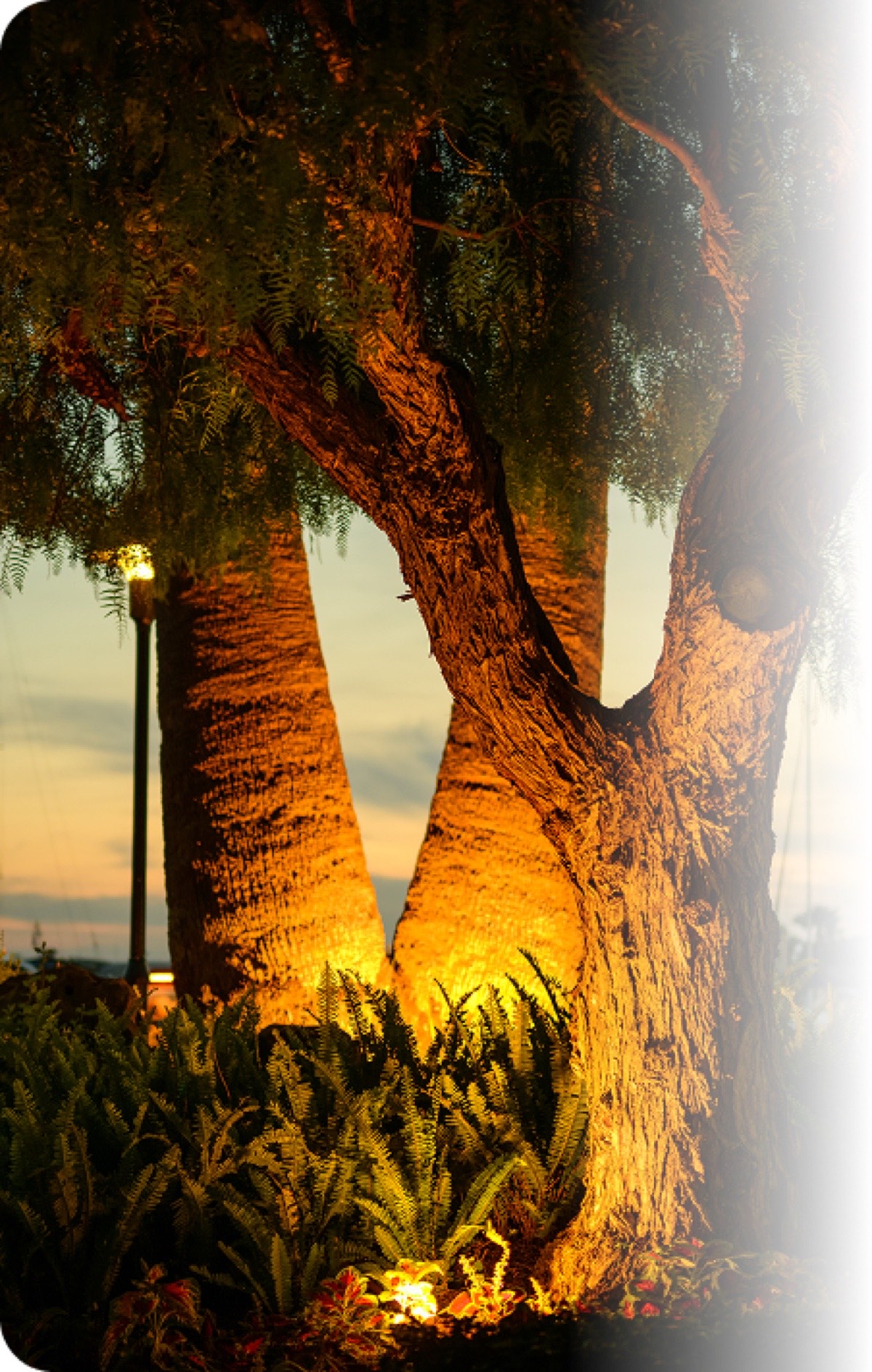 Lawn Care & Landscaping