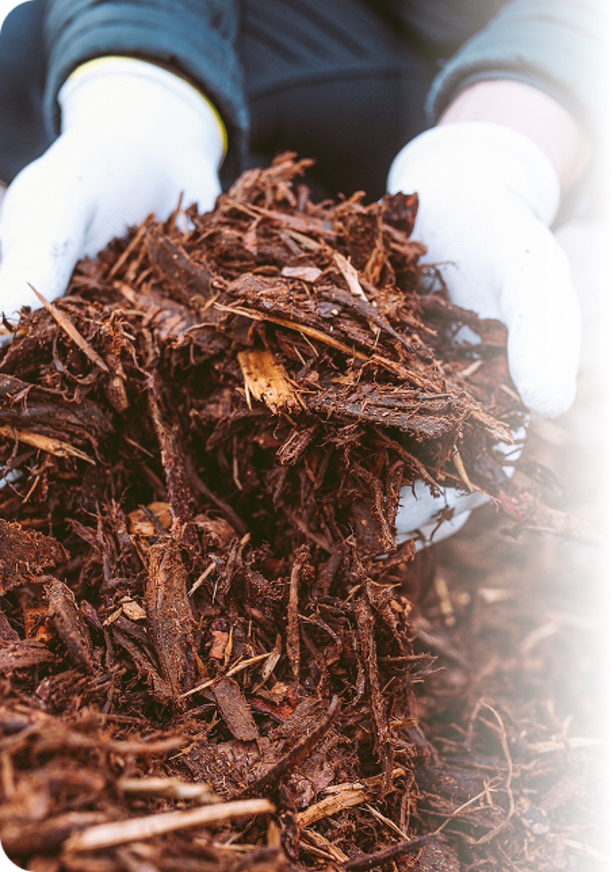 Lawn Care & Landscaping