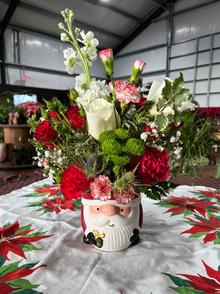 Floral, Plant and Garden