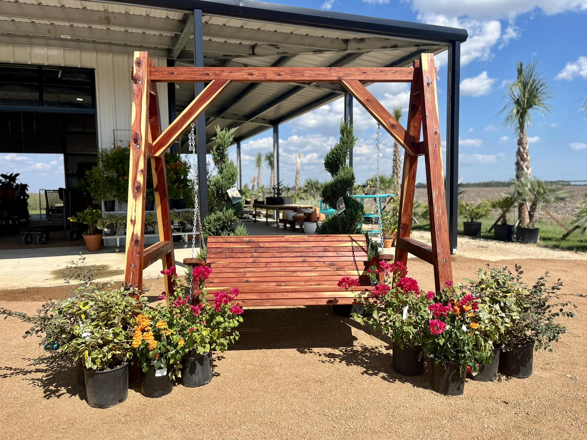 Outdoor Plants gallery