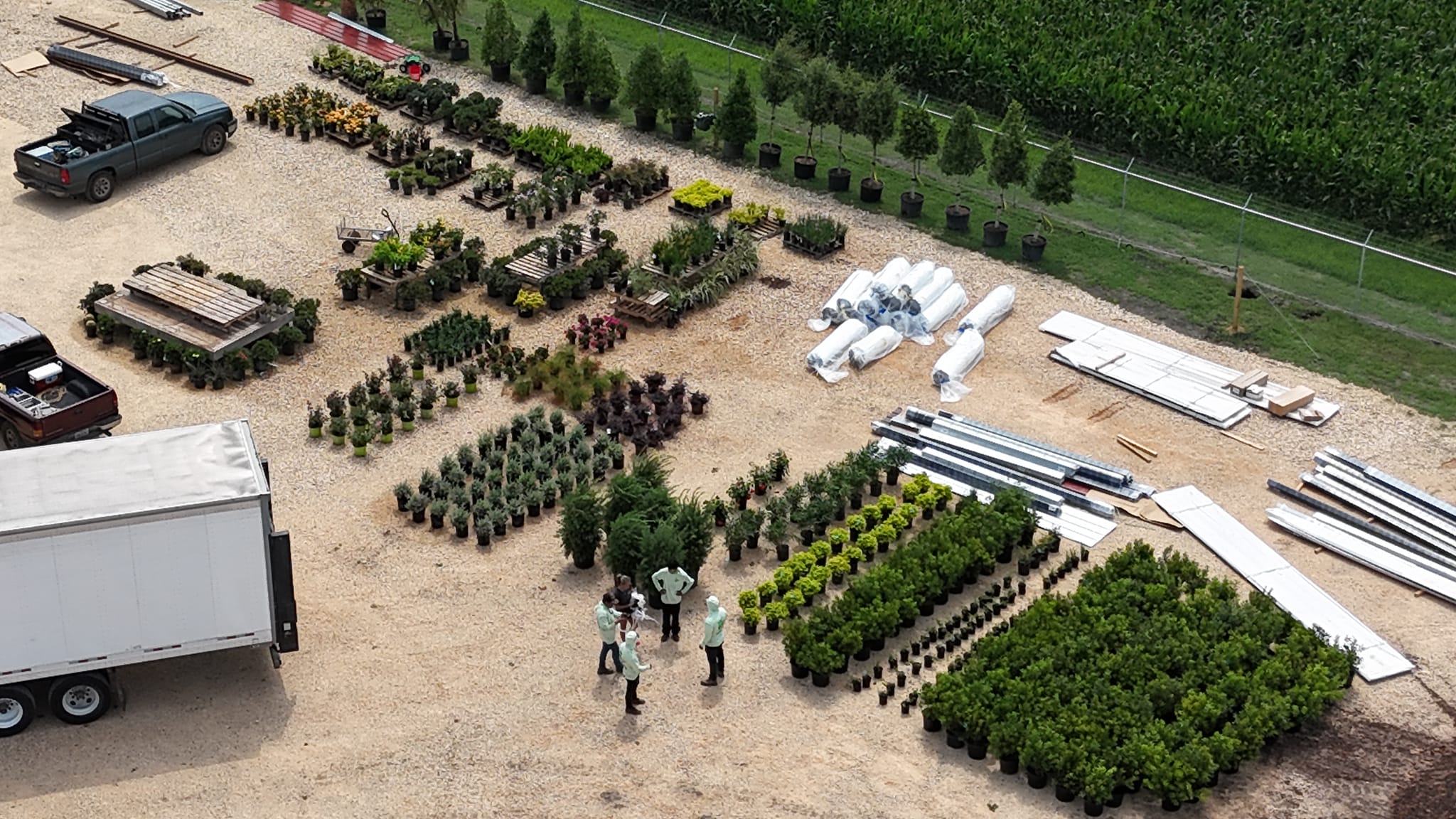 Outdoor Plants gallery